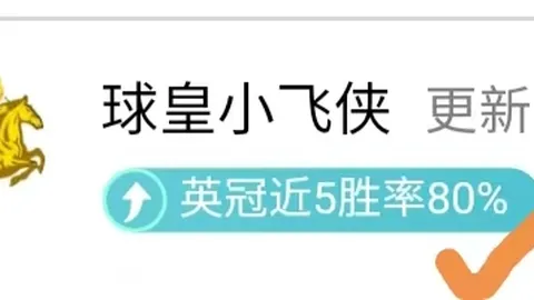 2025年01月12日博塔弗戈对蒙蒂阿祖尔友谊赛：往昔对决盘点、战果解读与赛前展望